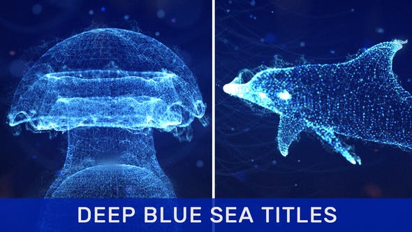 AE模板-抽象蓝色海洋点线粒子三维动物图形文字标题动画