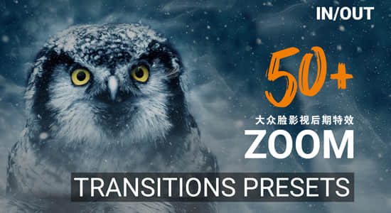 Premiere预设-50种高质量独特冲击缩放过渡转场预设 50 Zoom Transition Presets