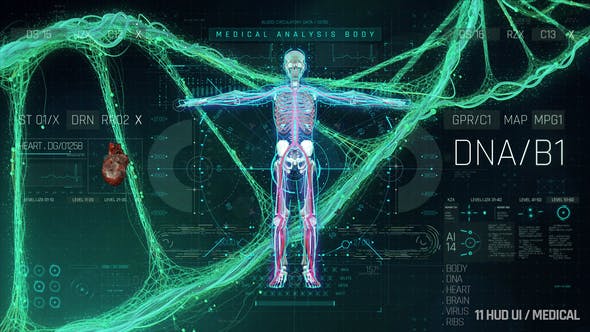 AE模板-医疗生物人体化学HUD科技元素UI界面动画 HUD Medical Pack