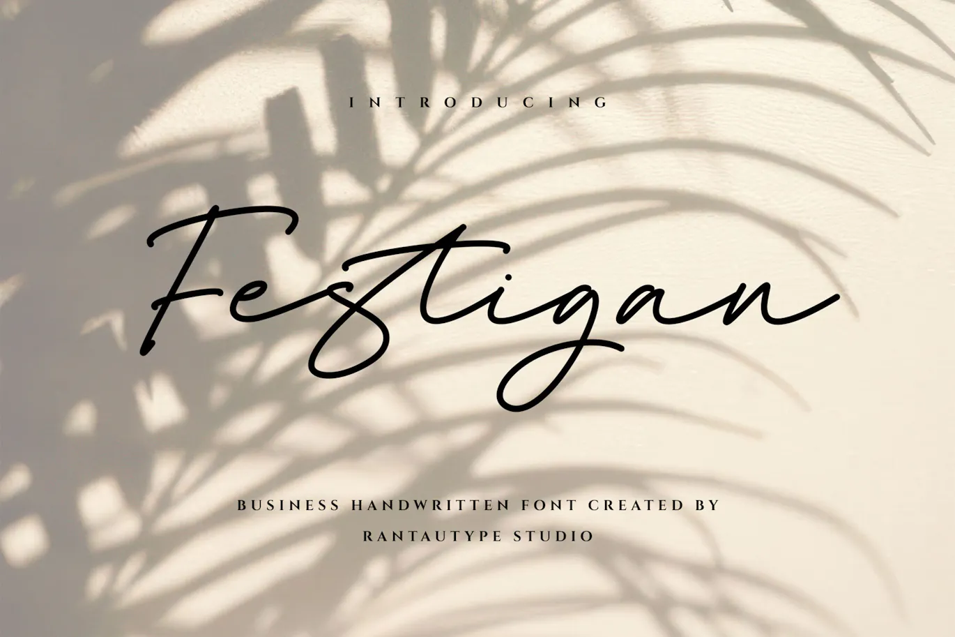 高级时装品牌的英文手写字体 - Festigan Business 设计字体 第12张