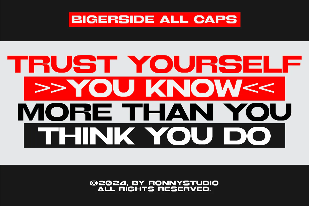 品牌推广宣传海报无衬线字体 - Bigerside 设计字体 第4张