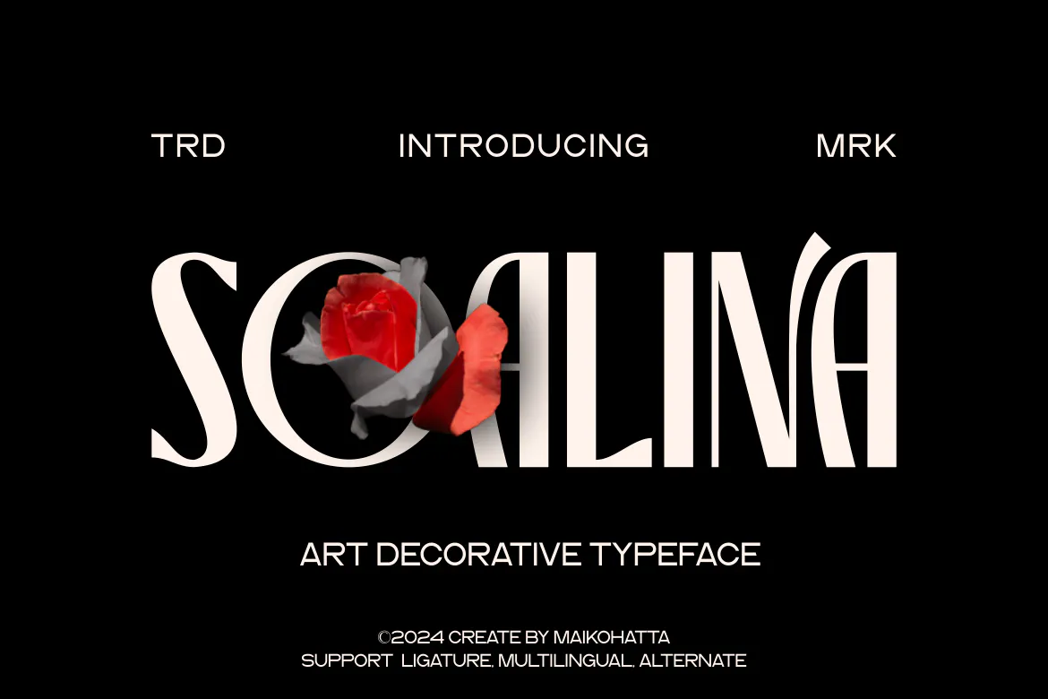 充满活力抽象的英文艺术装饰字体 - Soalina