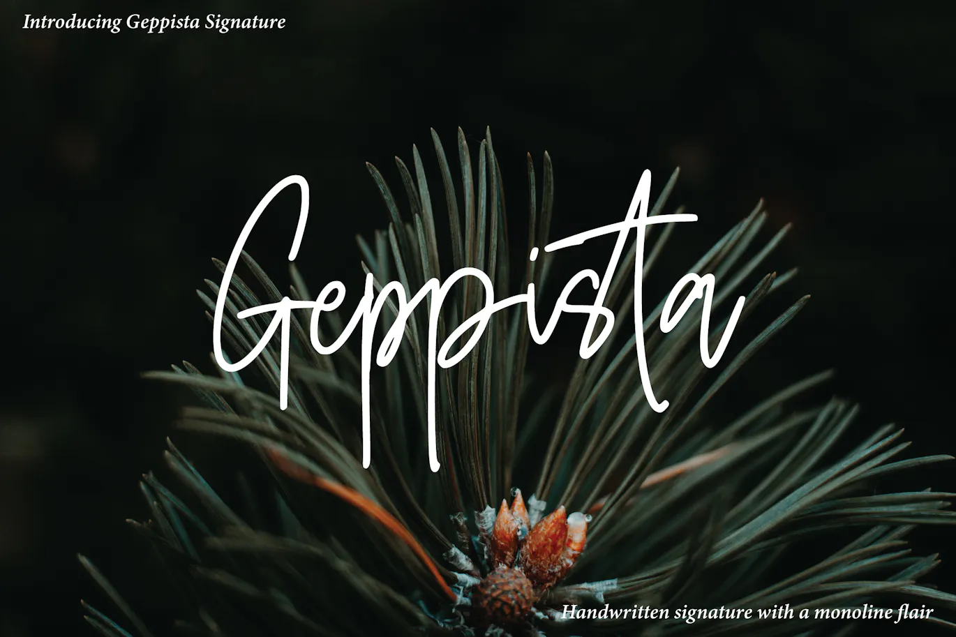 非常漂亮的英文手写签名字体 - Geppista 设计字体 第1张