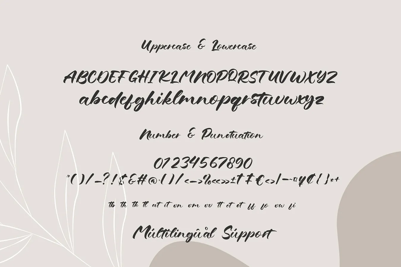 邀请函的英文手写签名字体 - Grandma Salma 设计字体 第4张