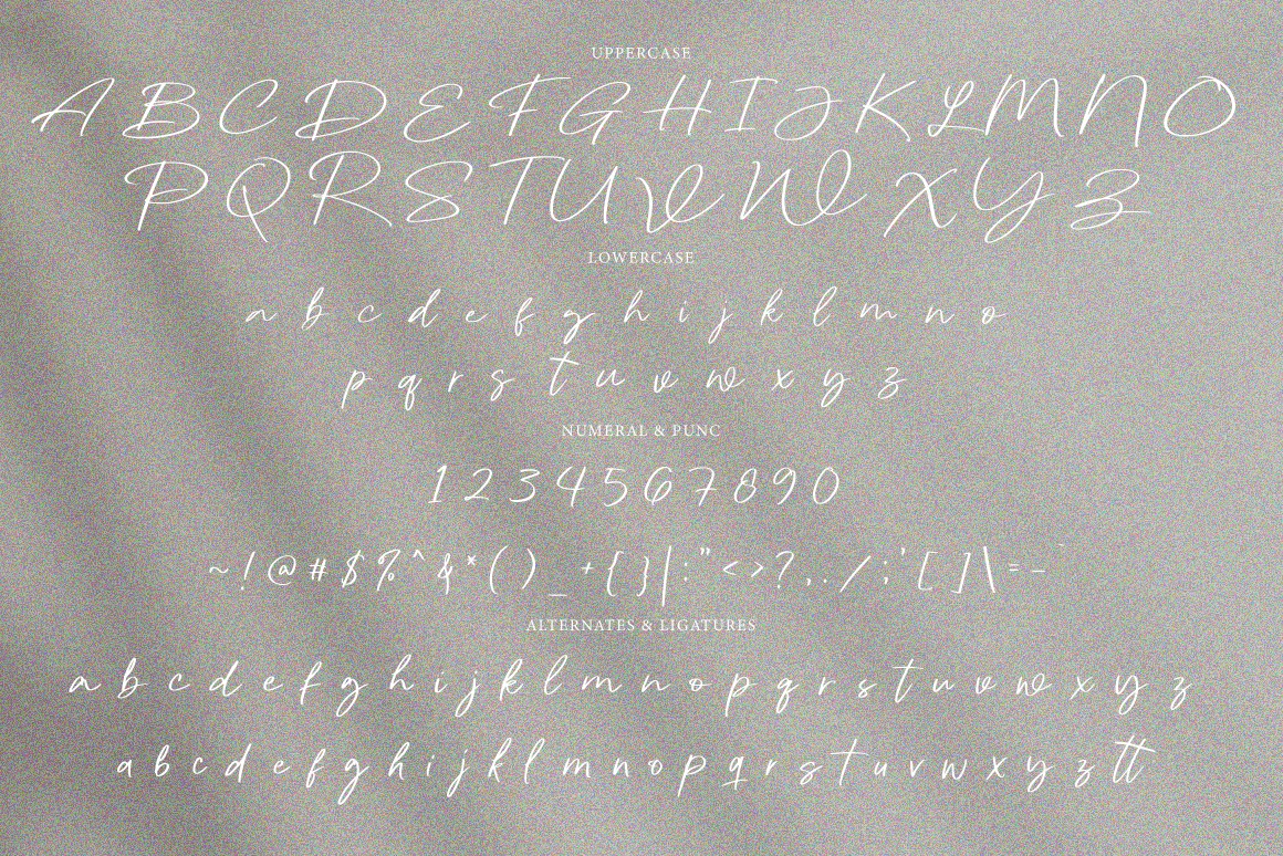 Signature风格的英文手写细画笔字体 - Pagoda 设计字体 第7张
