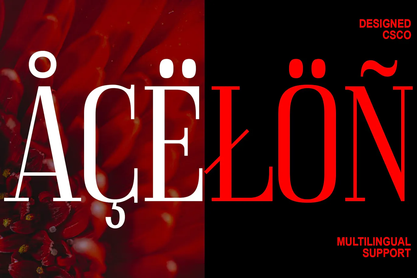 简洁的英文Condensed窄体衬线字体 - Acelo 设计字体 第7张
