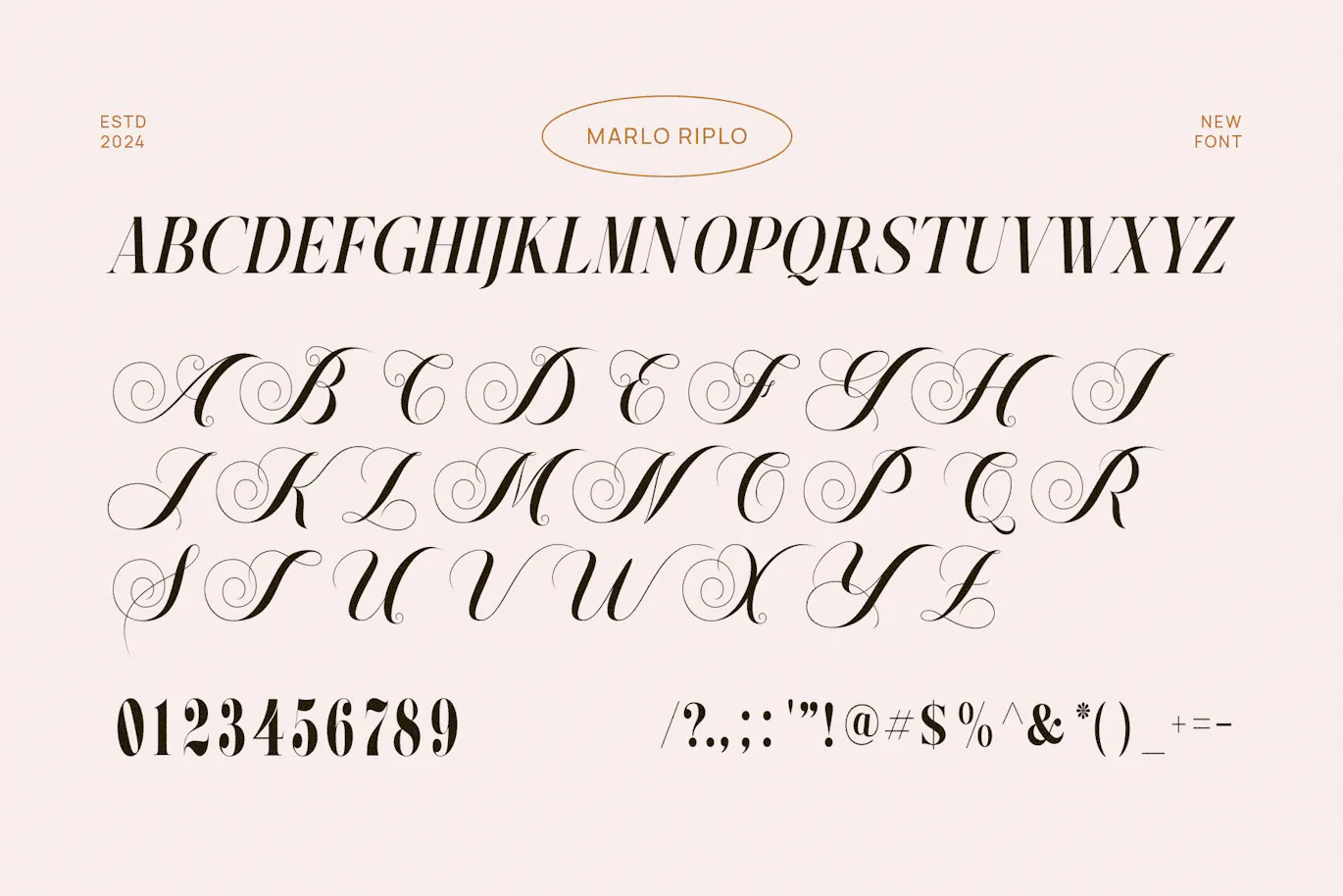 Marlo Pirlo优雅和高级衬线英文字体 设计字体 第2张