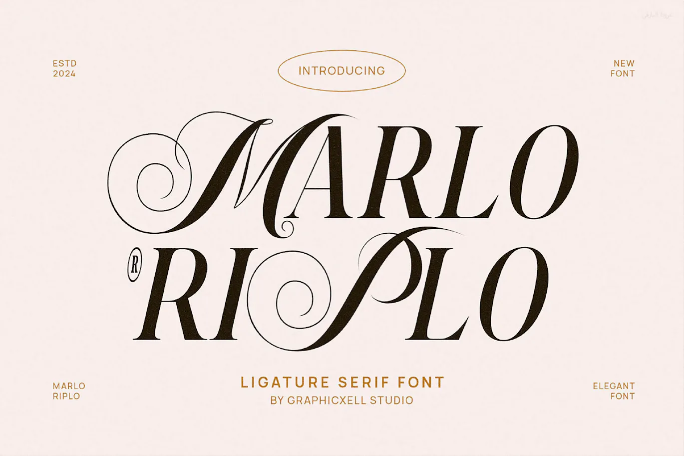 Marlo Pirlo优雅和高级衬线英文字体