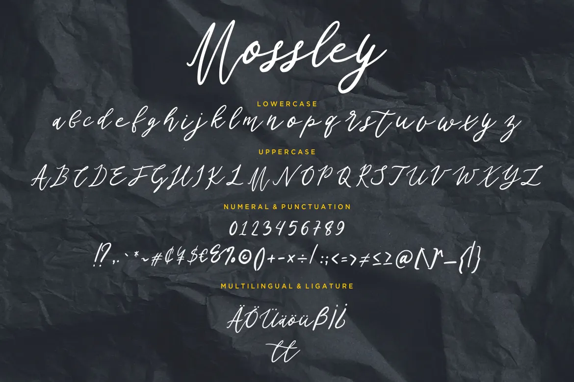 漂亮好看的婚礼签名手写英文字体 - Mossley Signature Wedding Font 设计字体 第3张