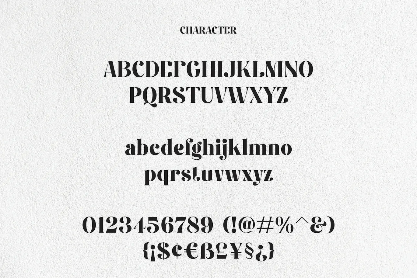 独特且非常优雅的英文字体 - Fiontina Display Typeface Font 设计字体 第9张