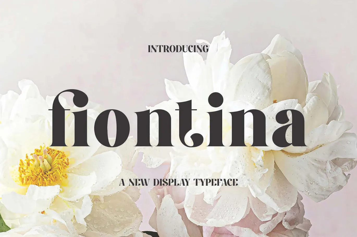 独特且非常优雅的英文字体 - Fiontina Display Typeface Font
