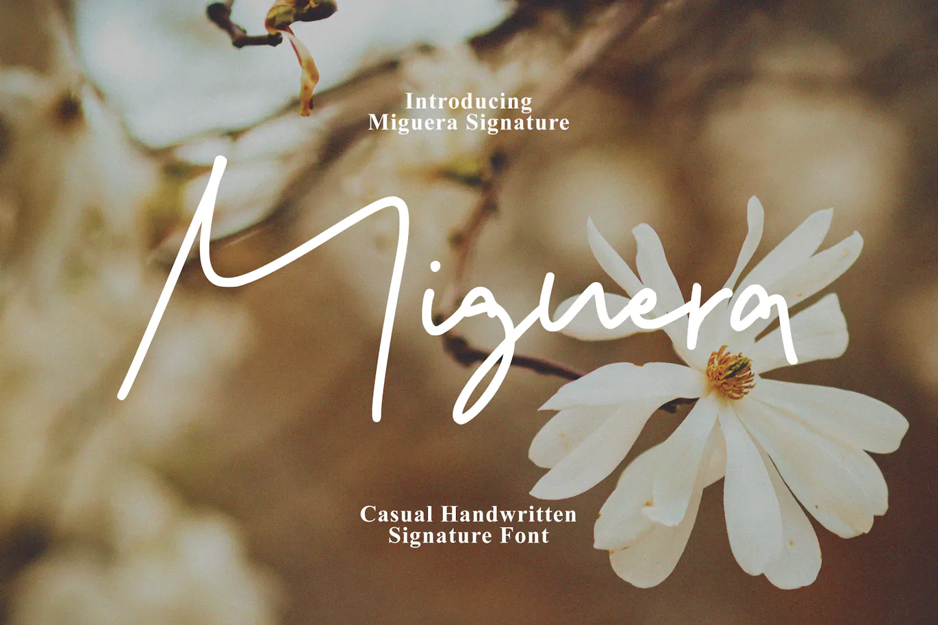 漂亮的手写签名风格装饰字体 Miguera - Casual Handwritten 设计字体 第1张