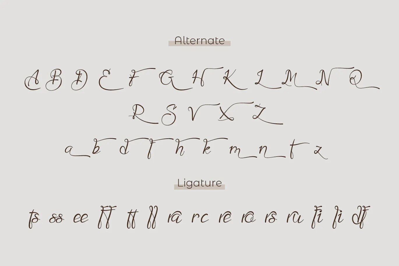 现代风格签名脚本字体 - Ballinka 设计字体 第6张