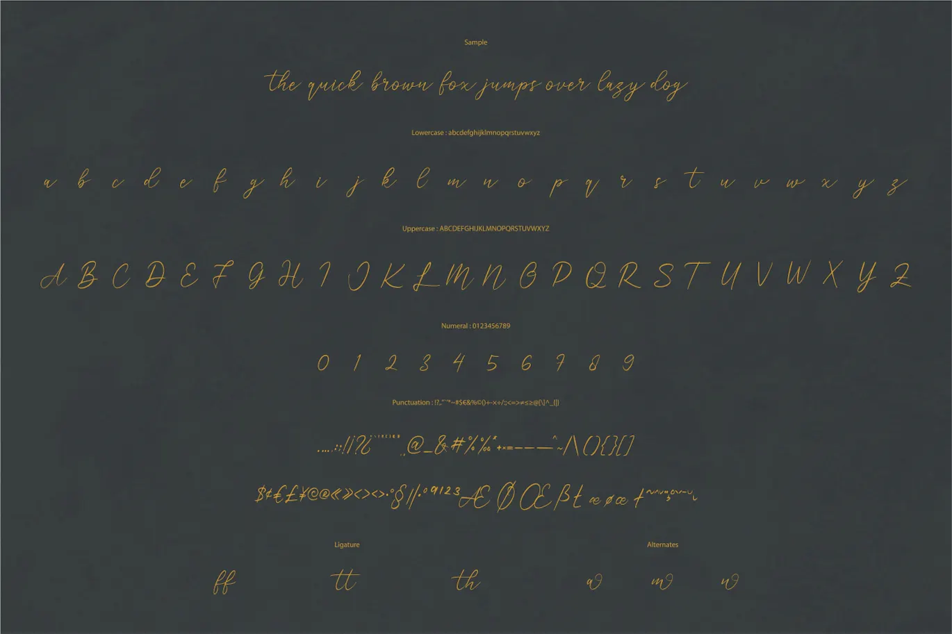 书法风格的现代艺术字体 Amitiam - Modern Calligraphy 设计字体 第3张