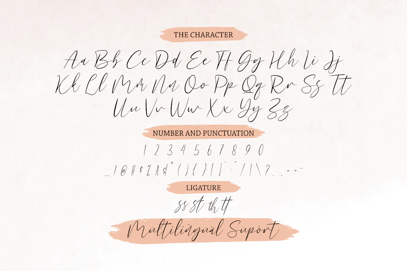 时尚优雅的手写脚本字体 - Amelitta 设计字体 第8张