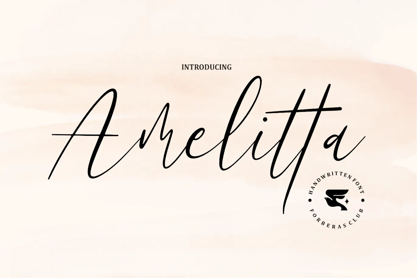 时尚优雅的手写脚本字体 - Amelitta 设计字体 第4张