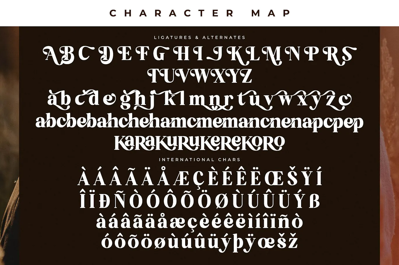 Bredga装饰衬线字体 - Bredga Decorative Serif Font 设计字体 第4张