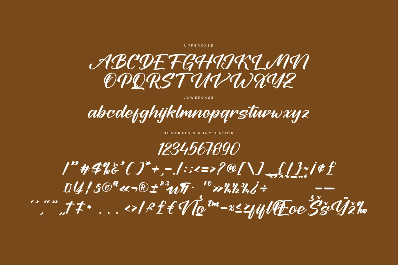 航海威望现代粗体字体 - Nautical Prestige Modern Bold Script Font 设计字体 第11张