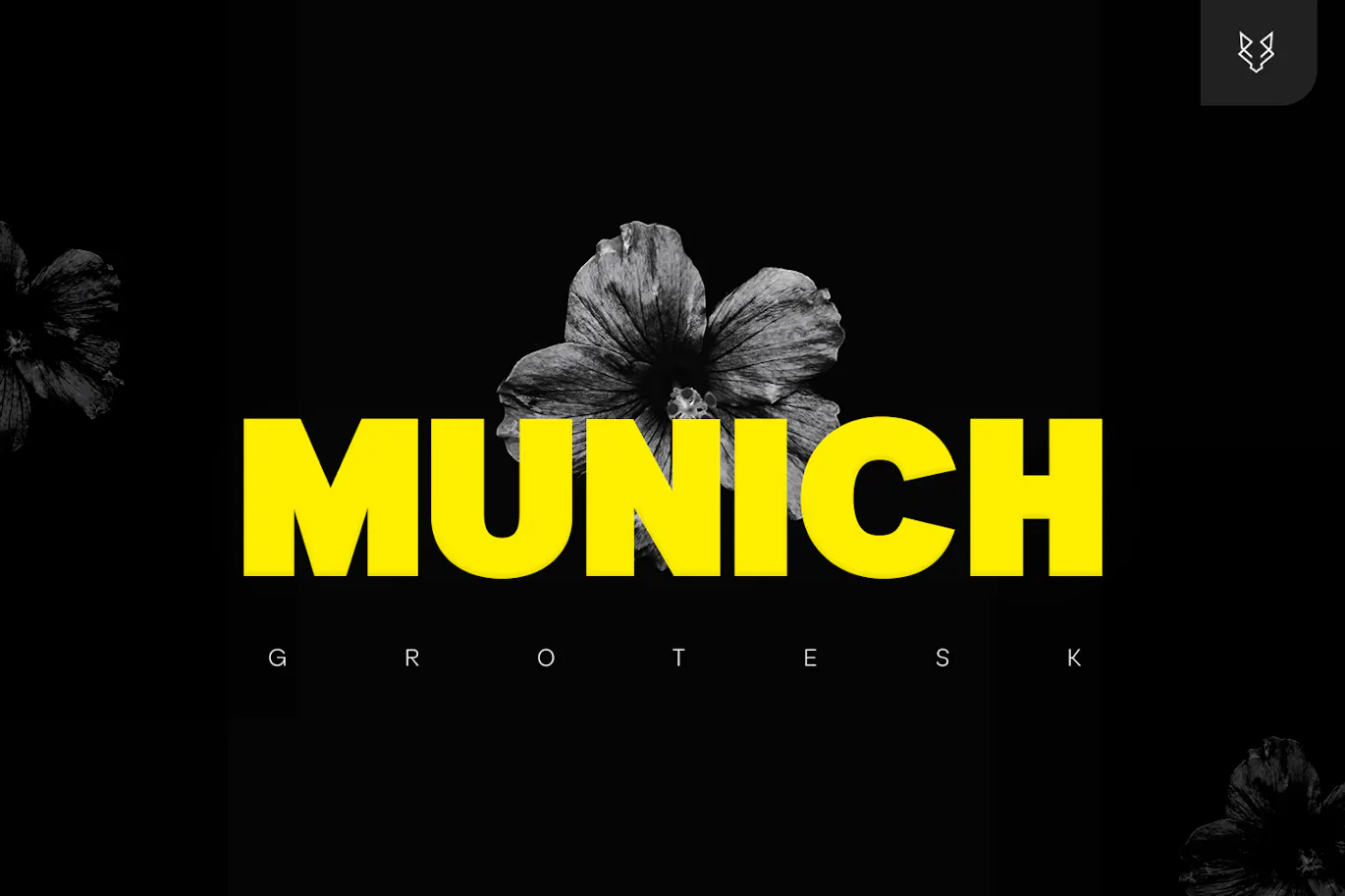 超实用的一款英文字体 - Munich Pro Display Typeface