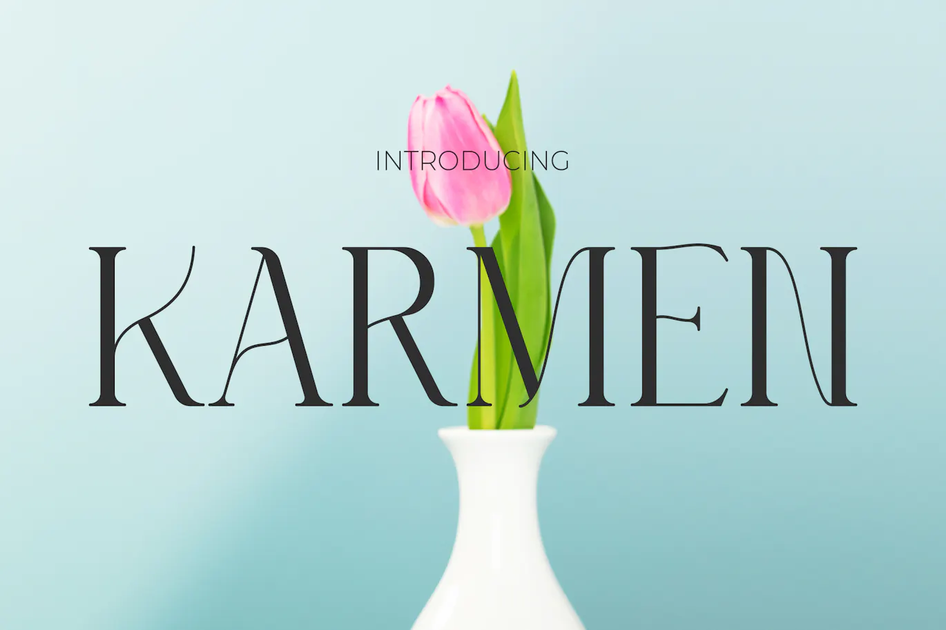 优雅线条与粗线条结合的现代英文衬线字体 - Karmen