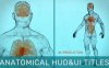 AE模板-三维人体解剖生物医疗文字标题介绍动画 Anatomical HUD&UI Titles
